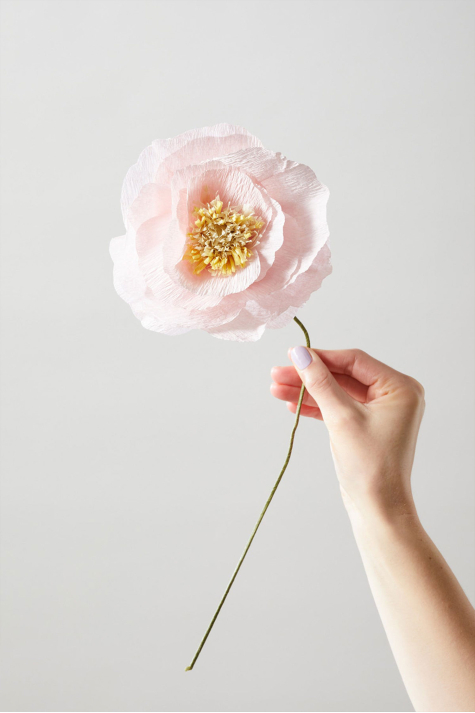 Paper Flower, Ice Poppy Rose