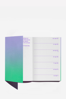 Planner 2027, Shimmer