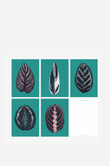 Card Set, Praying Hands