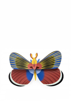 Insects Big, Giant Butterfly