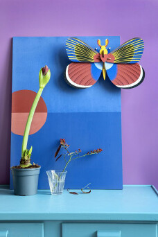 Insects Big, Giant Butterfly