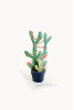 Card, Christmas Cactus