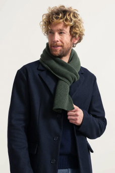 Federico Scarf, Verde Foresta