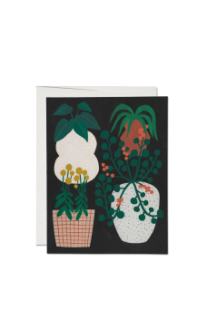 Card, Indoor Plants