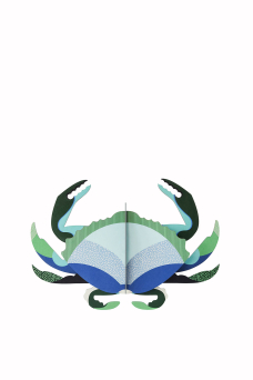 Sea Creatures, Aquamarine Crab