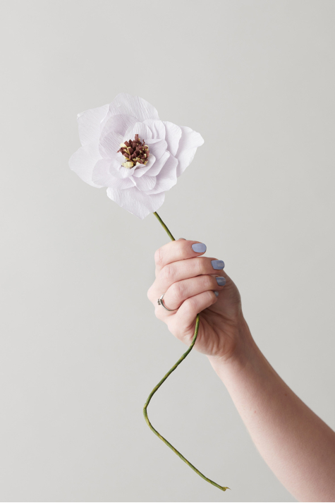 Paper Flower, Poppy Purple