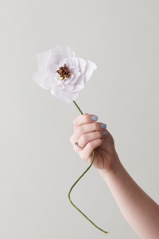 Paper Flower, Poppy Purple