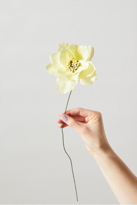 Paper Flower, Dahlia Yellow