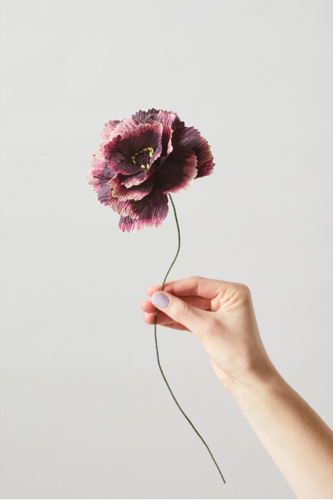 Paper Flower, Peony Aubergine