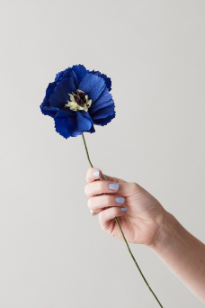 Paper Flower, Peony Blue