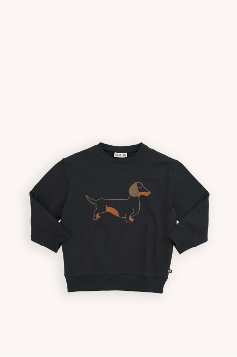 Embroidered Sweater, Dachshund